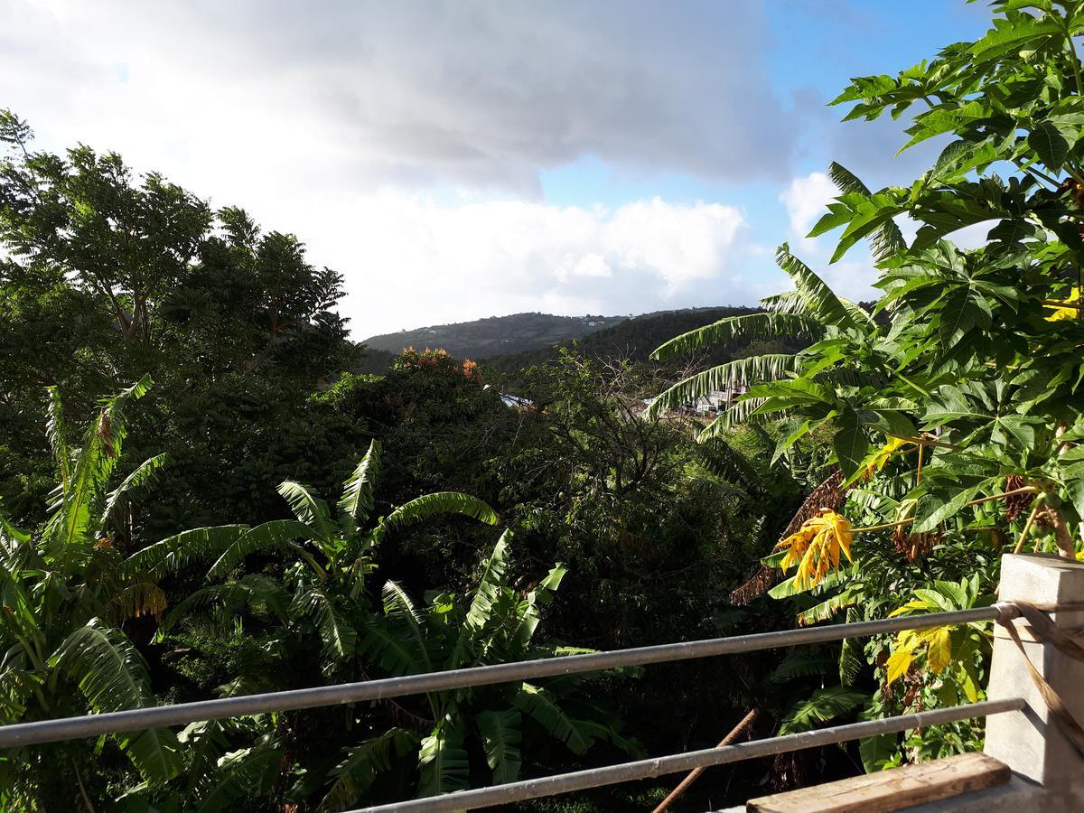 Refuge De Joel Bed & Breakfast Case-Pilote ภายนอก รูปภาพ